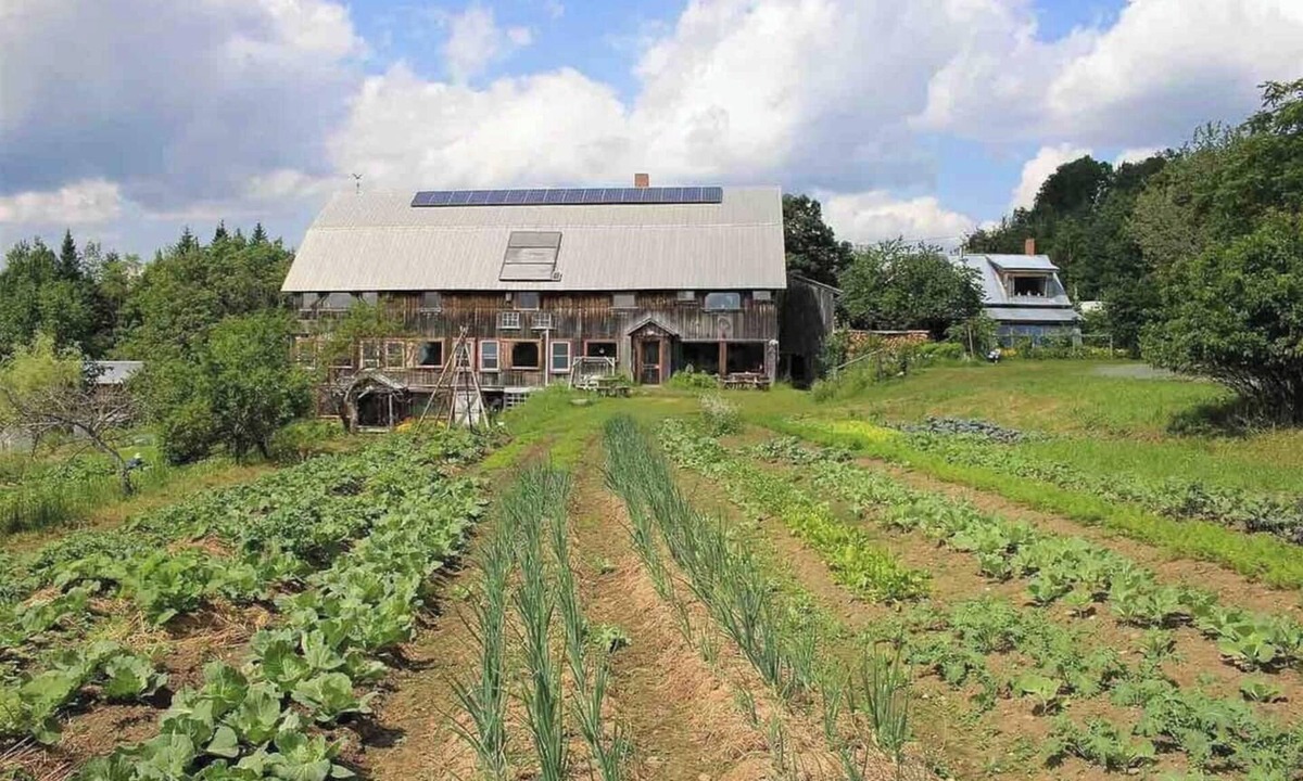 Greensboro Bend House | 100+ Acres and Renovated Barn for Retreats, Small Weddings, Large Groups