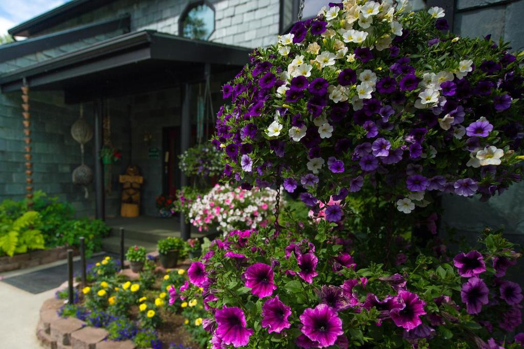University Area Bed & Breakfast | Alaska House of Jade Bed and Breakfast