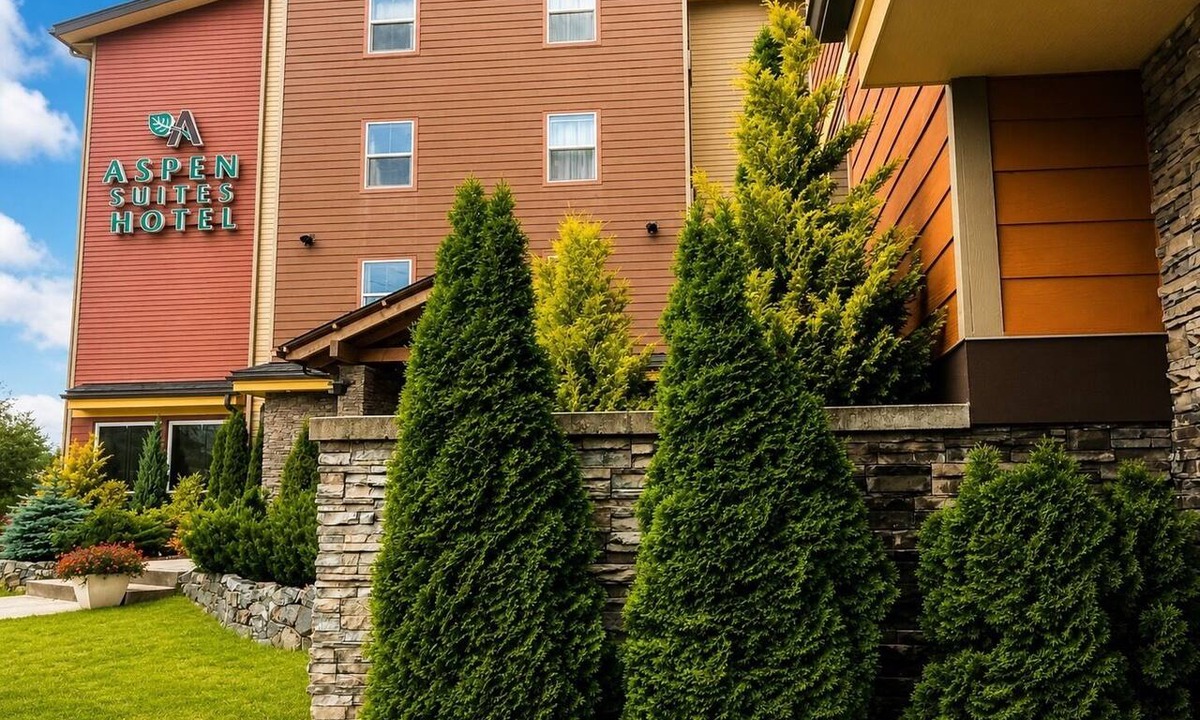 Sitka Hotel | Aspen Suites Hotel Sitka Single Queen Studio
