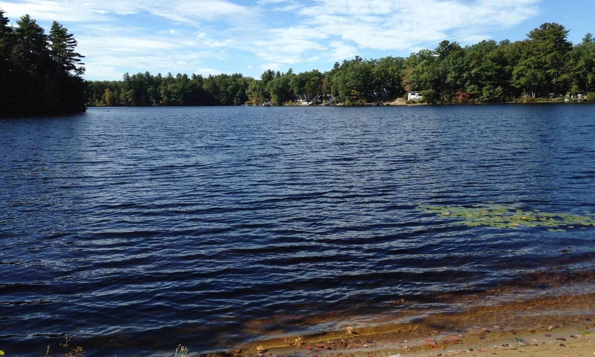 Sandown Cabin | at water's edge on quiet pond