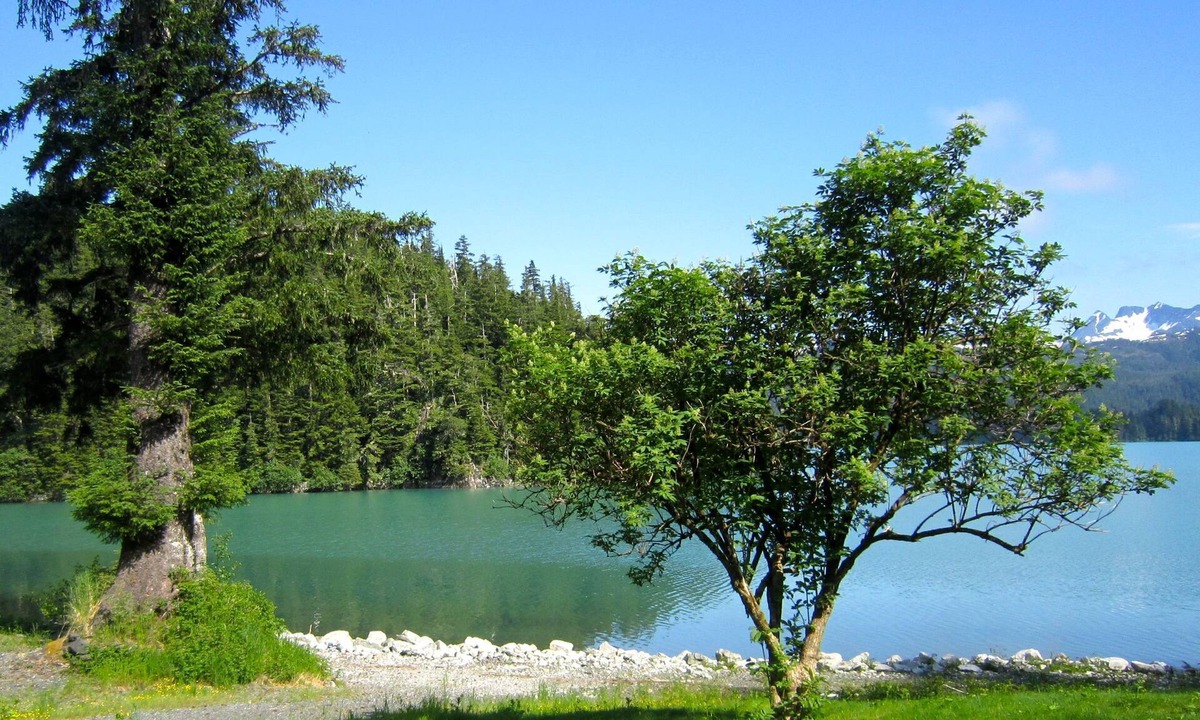 Cordova House | Bear Country Lodge #2