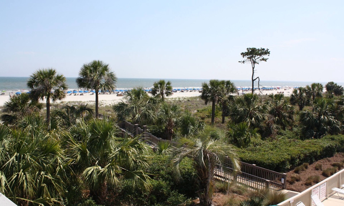 North Forest Beach Condo | Breakers Direct Oceanfront - Best Ocean View on the Island!