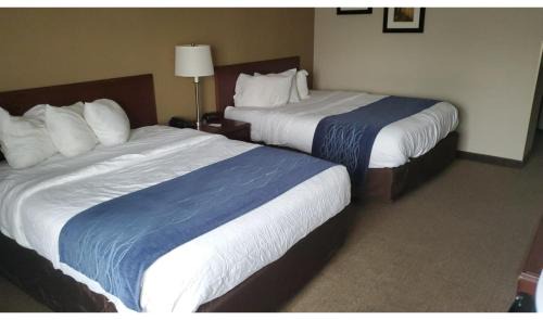 Cambridge Hotel | Cambridge Inn by Capital O near I-70 I-77