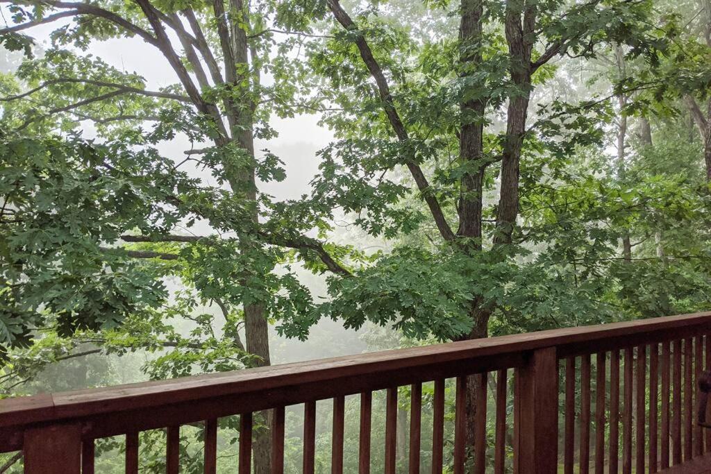 Bella Vista Apartment | Corner Lake Getaway