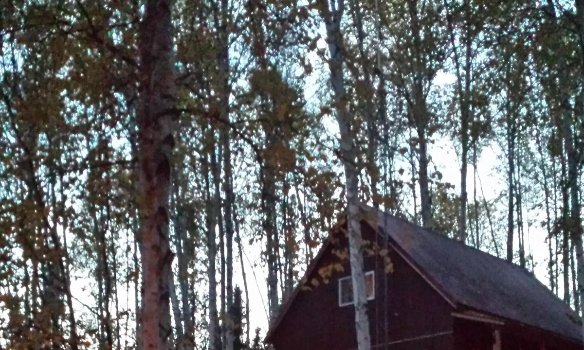 Fairbanks Cottage | Cozy Alaskan Cottage
