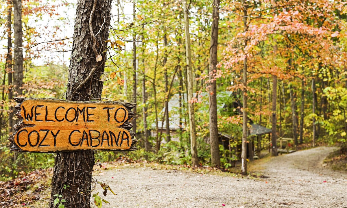 Carbon Hill Cabin | Cozy Cabana is secluded yet close to local attractions