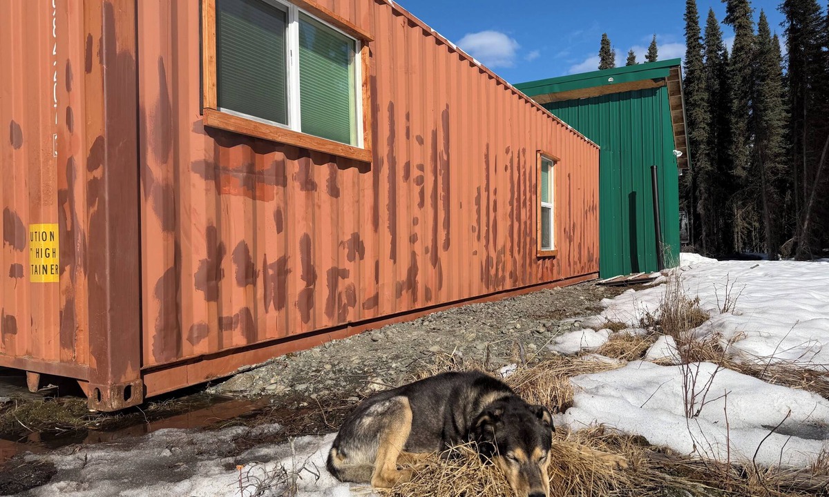 Funny River House | Cozy Container: A Shipping Container Retreat for Pups & People.
