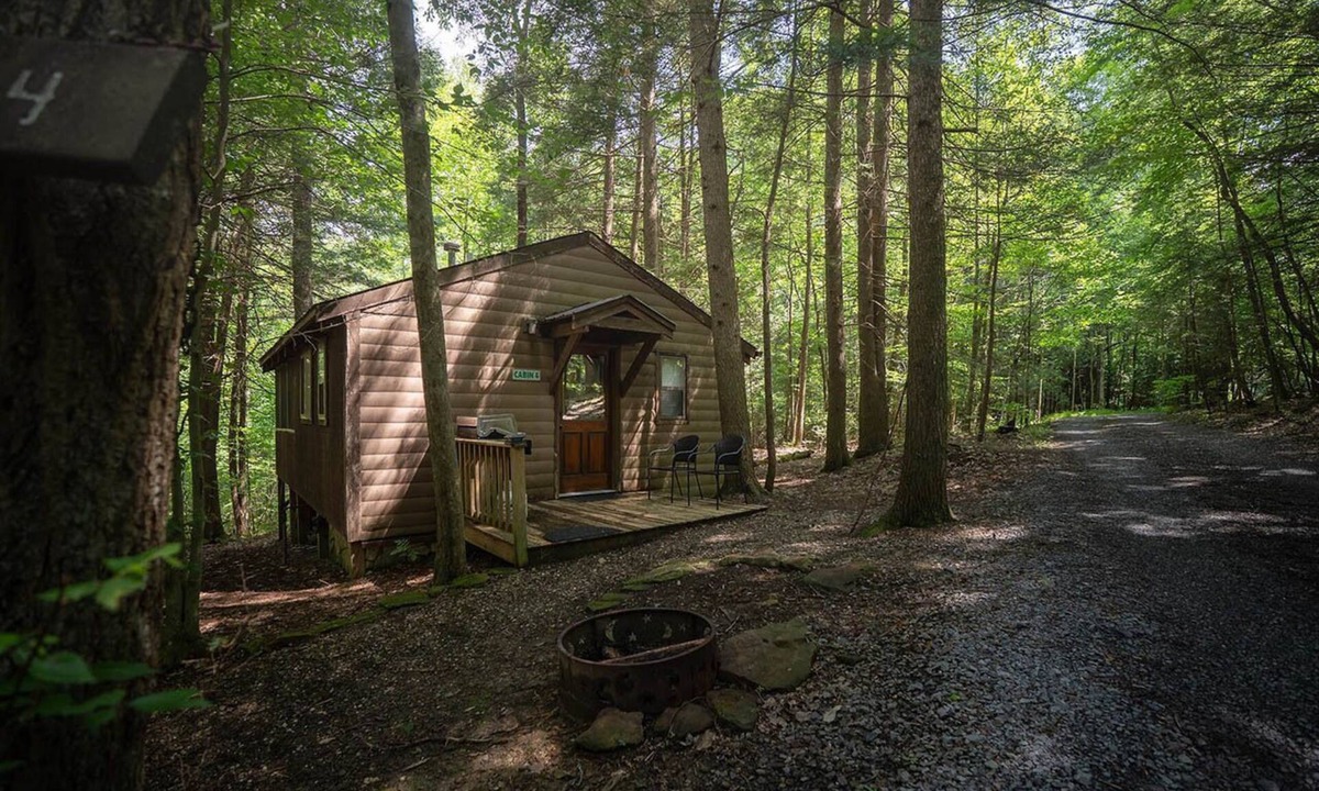 Victor Cabin | Cozy Romantic Cabin with Hot Tub on Screened Porch