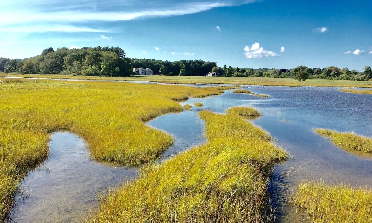 Wells House | Darling Moody Beach Cottage; Marsh Views & Steps Away from Beach. Sleeps 6-8.