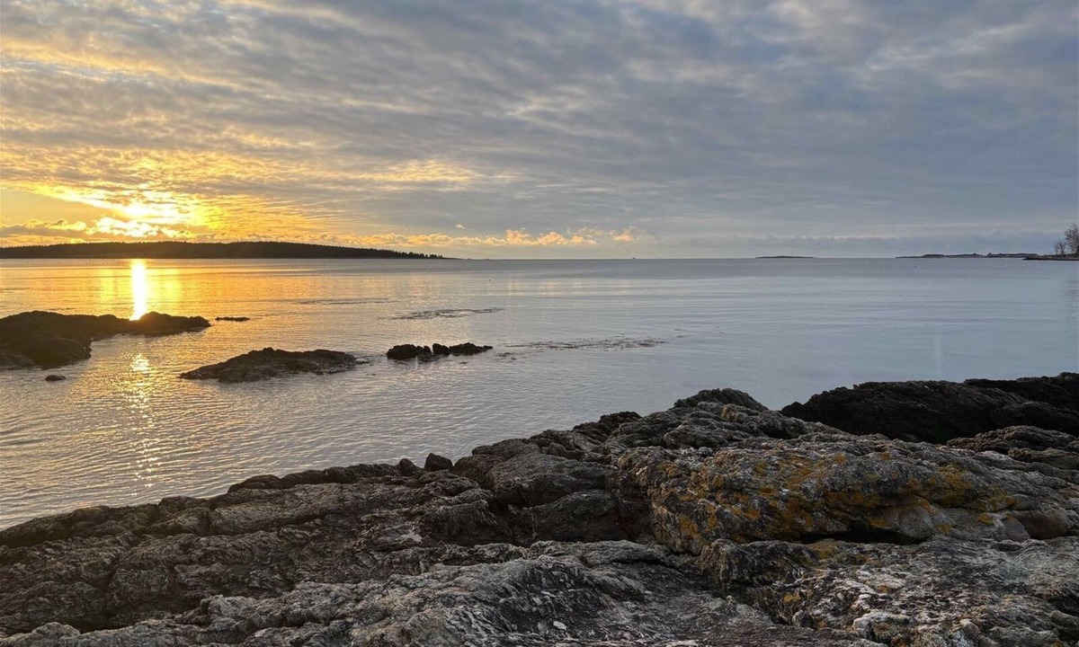 Port Clyde House | DRIFT INN COTTAGE-1 mile from Port Clyde & Walk to Drift Inn Beach, Dog-Friendly