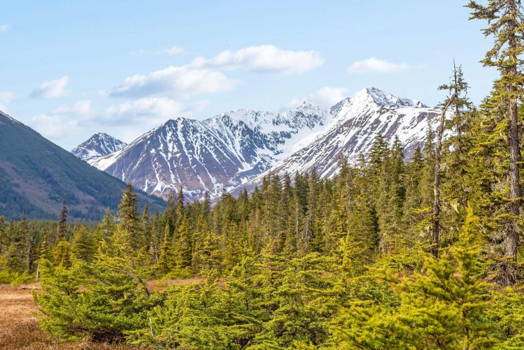Alyeska Hotel | East Condo #218