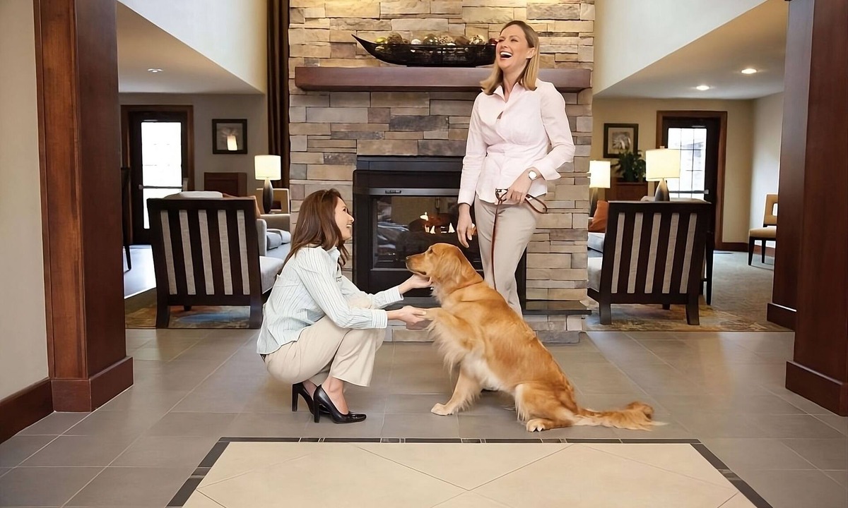 Las Colinas Hotel | Great for Groups! Full Kitchen, FREE Breakfast, Parking, Pets Allowed!