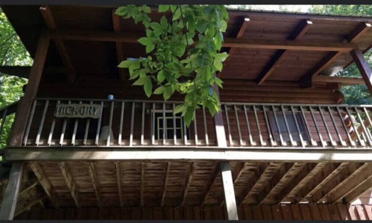 Edray Cabin | Hickory Cabin at Snowshoe! *Private Hot tub*