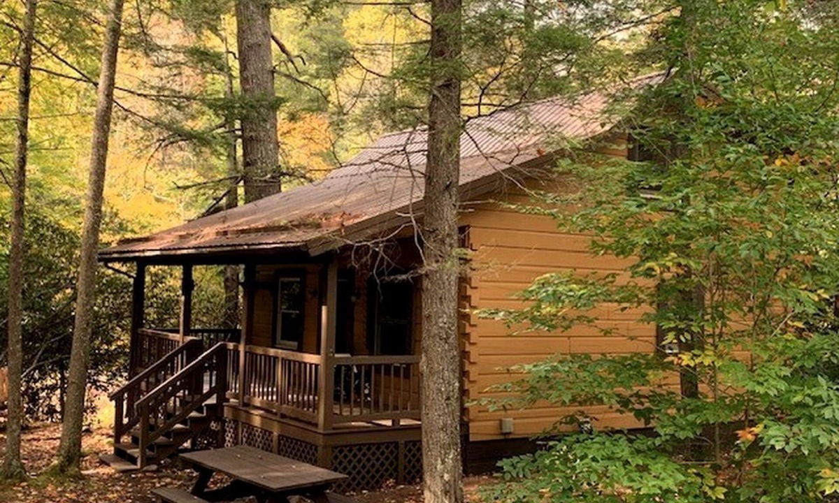 Mingo Cabin | Impressive Secluded Cabin Nestled Amidst Trees in Monterville, West Virginia