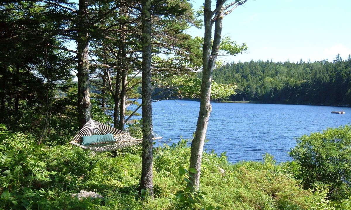 Seal Cove House | Lakefront Cottage on "Quietside" of Mt Desert Island facing Acadia National Park