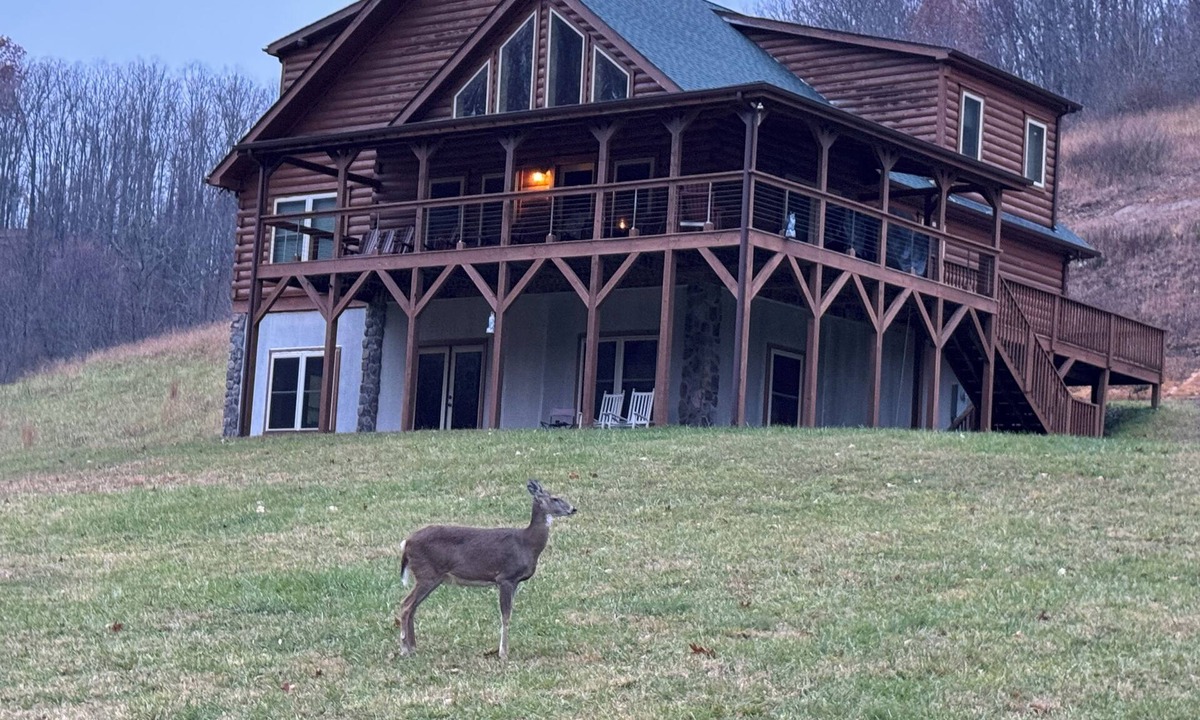 Saulsville Cabin | Located 3.6 miles from Pineville.near HM pinnacle trail. Mins from state park!