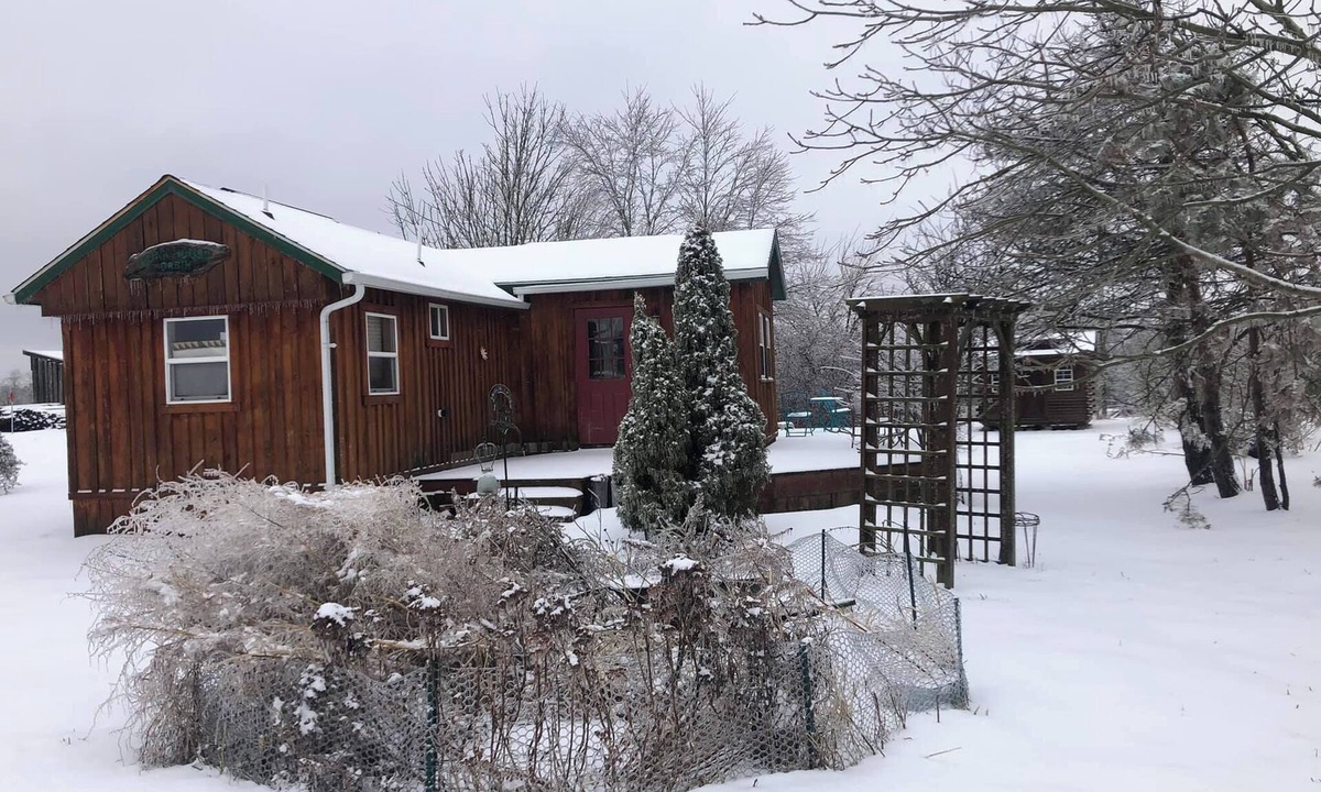 New Plymouth Cabin | Located behind a tree filled garden near our horse barn and Farm Sanctuary.
