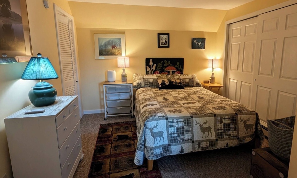 Moretown Apartment | Mad River Valley furnished 1BR apartment,full kitchen/bath 20 minutes to skiing