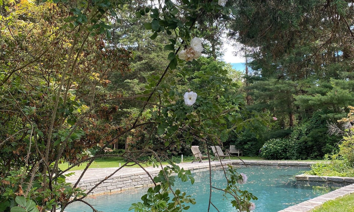 Madison Center House | Madison Beach House, Private Pool, Walk to Beach & Town