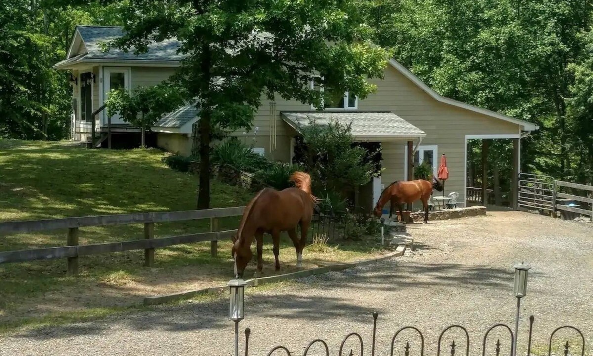 Marshall House | Magical Unicorn Hollow/Wineries/Great Meadows Events Fully furnished apartment