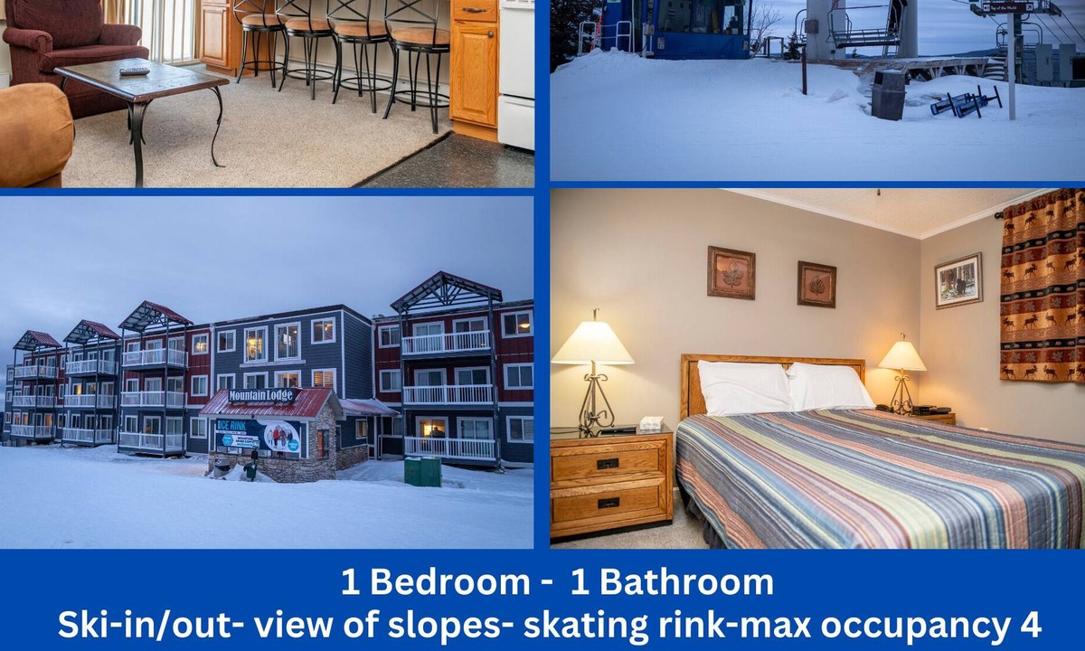 Edray Condo | ML 236|Ski In/Out| Ballhooter view| Free Parking and Wifi