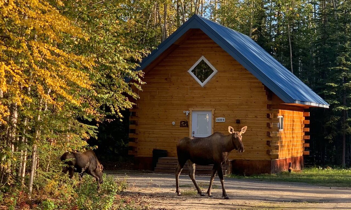 North Pole Cabin | Moose Tracks Cabin in North Pole, Alaska