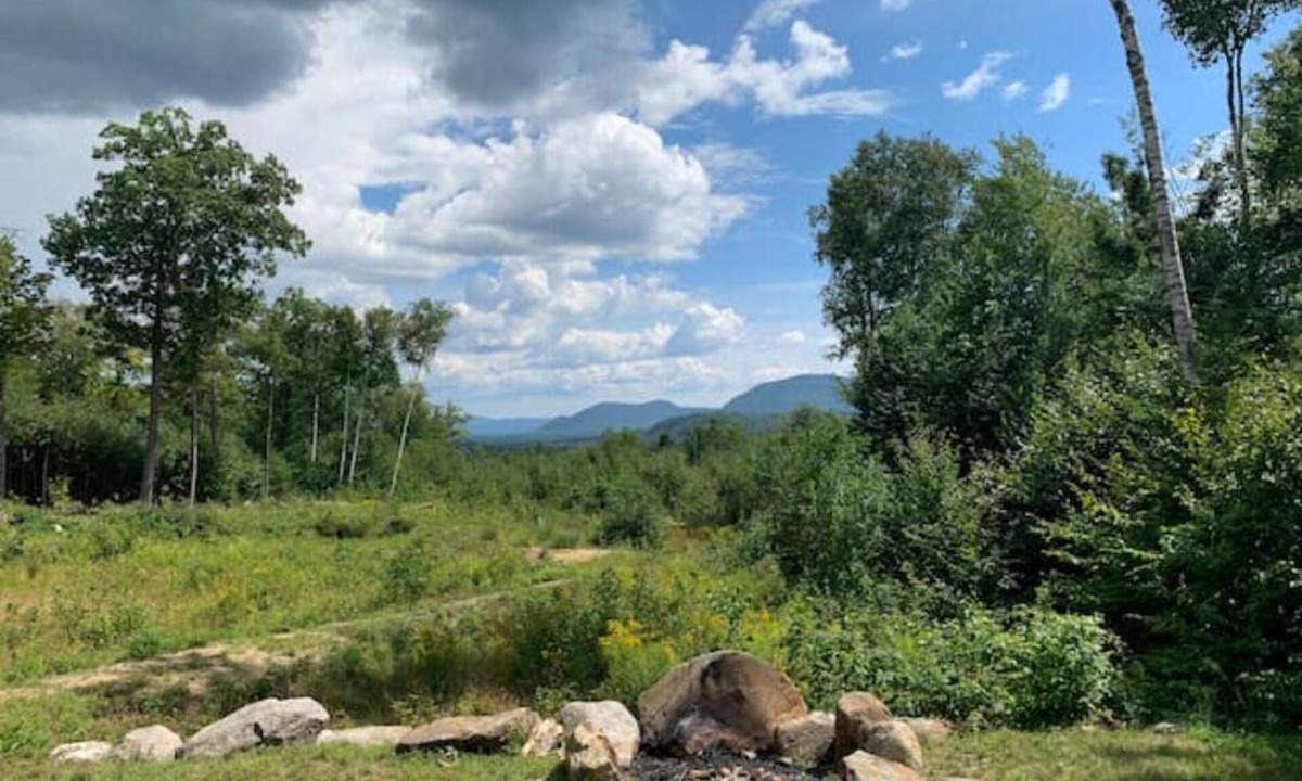 Tamworth Cabin | Mountainside Cabin! Pets Welcome, Fantastic Views! Private Retreat!