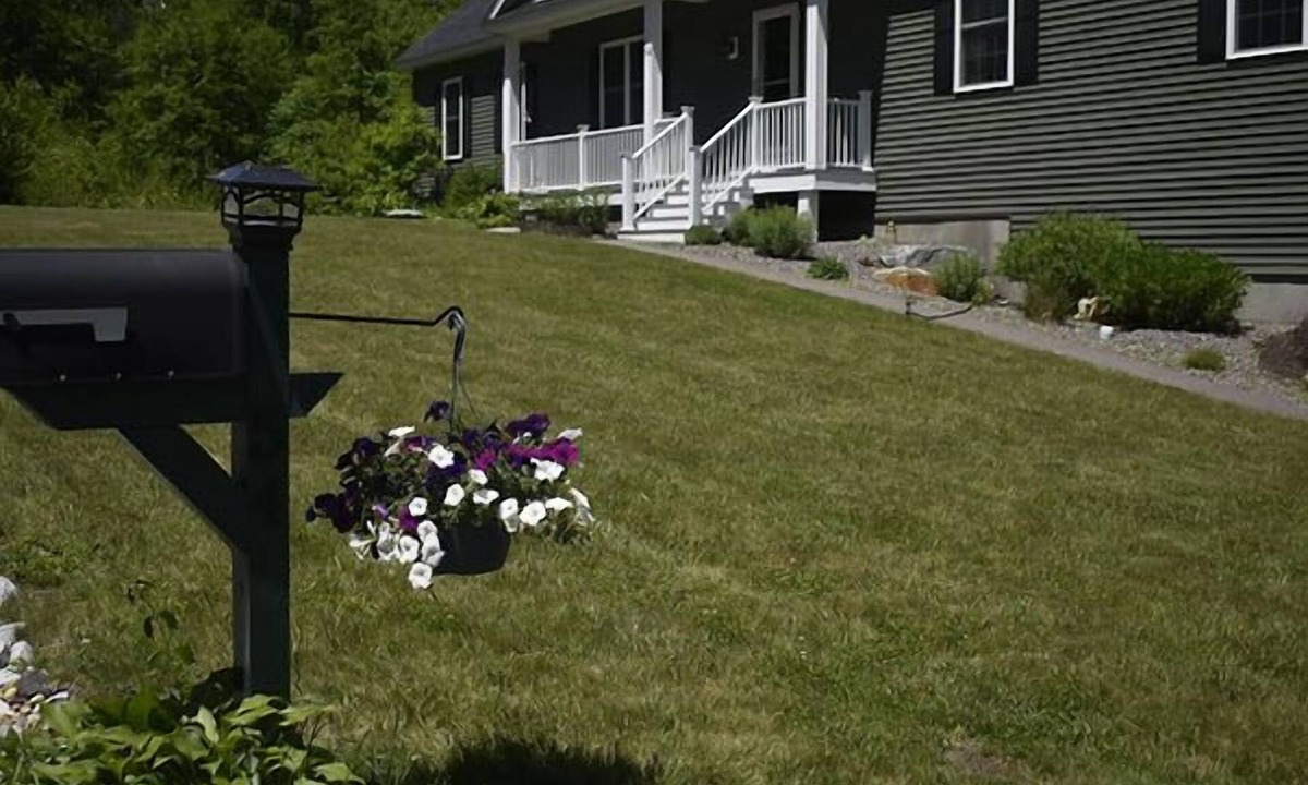 Moultonborough House | New! Follow the bear tracks 🐾 and create memories that will last a lifetime