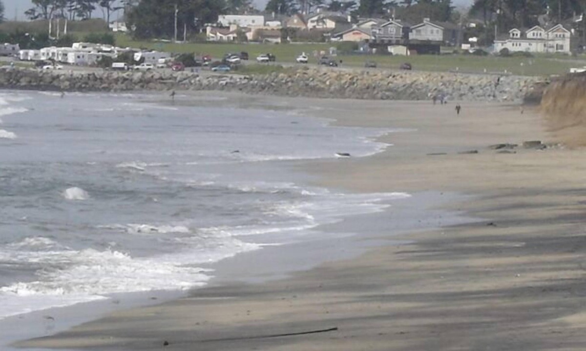 El Granada Apartment | Ocean, Beach, Trails. 5 Minutes West! Lease Available.