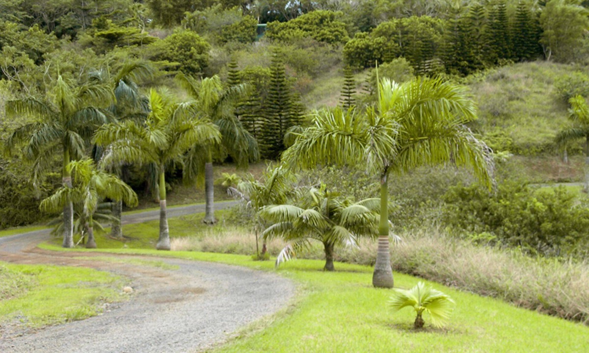 Pauwela Apartment | Peaceful & Private Studio - 12 Acre Hobby Organic Fruit Farm - Beach 10min