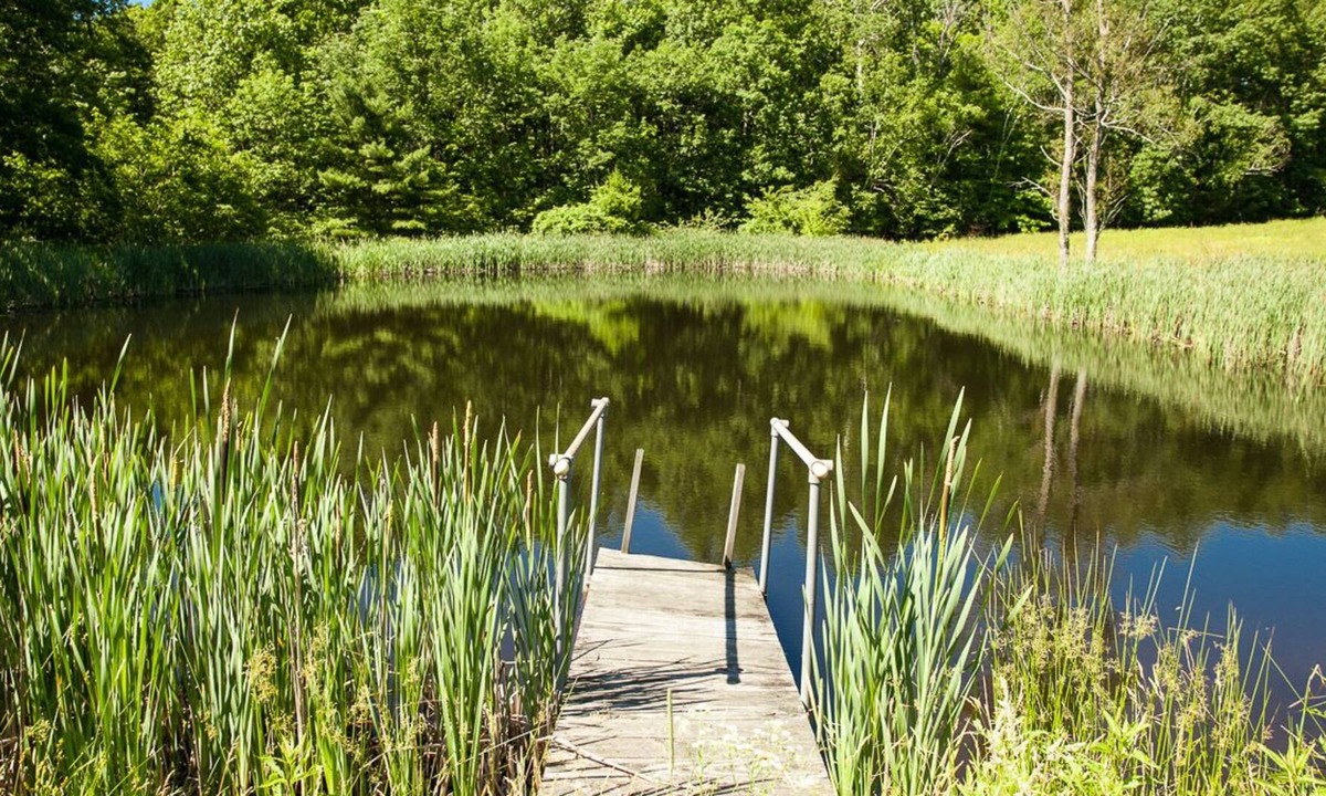 Old Chatham House | Pond View Cottage in Old Chatham WEEKLY & MONTHLY DISCOUNTS OFFERED!!!!