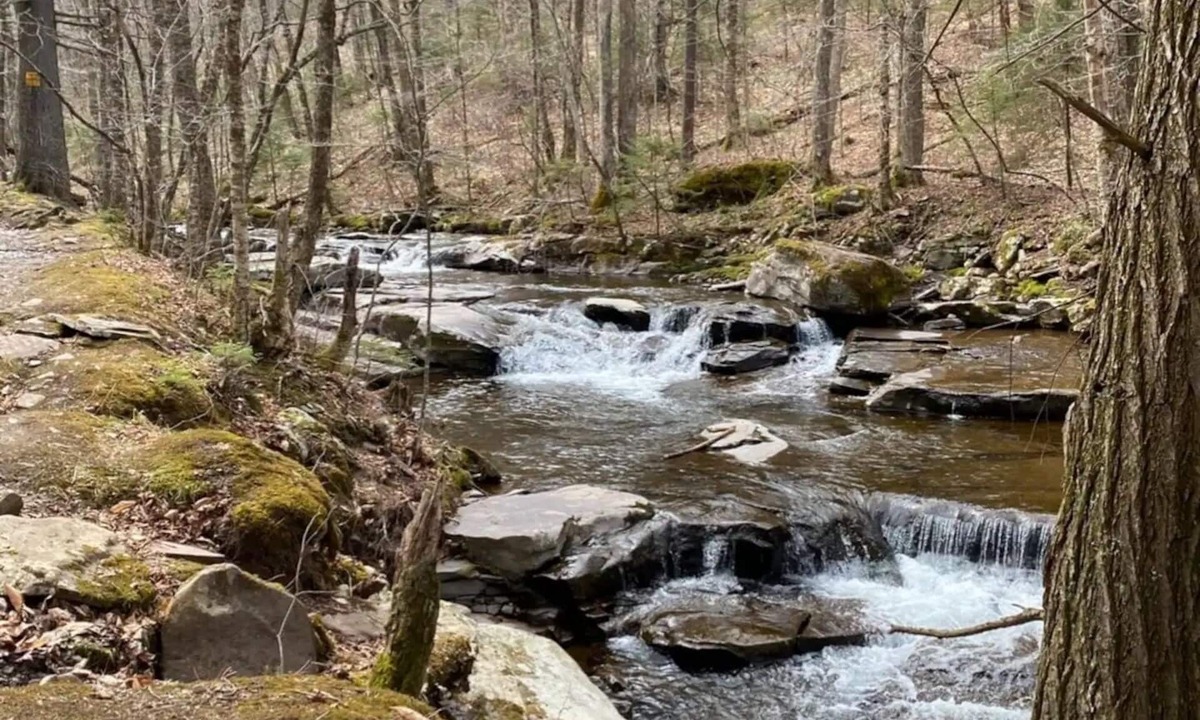 Edgewood Cabin | Private Creekside Oasis - hot tub,hiking,breweries!