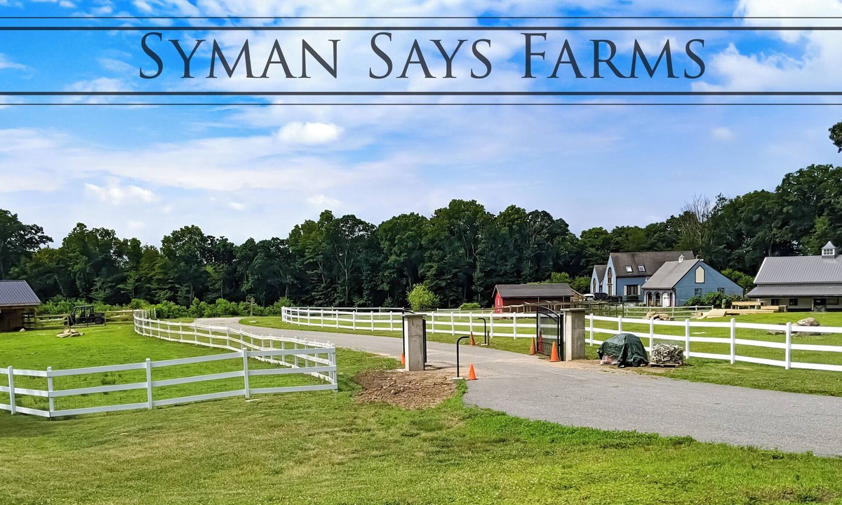 Gilman Cottage | Privet Farm cottage with AC and Deck in charming Salem Connecticut