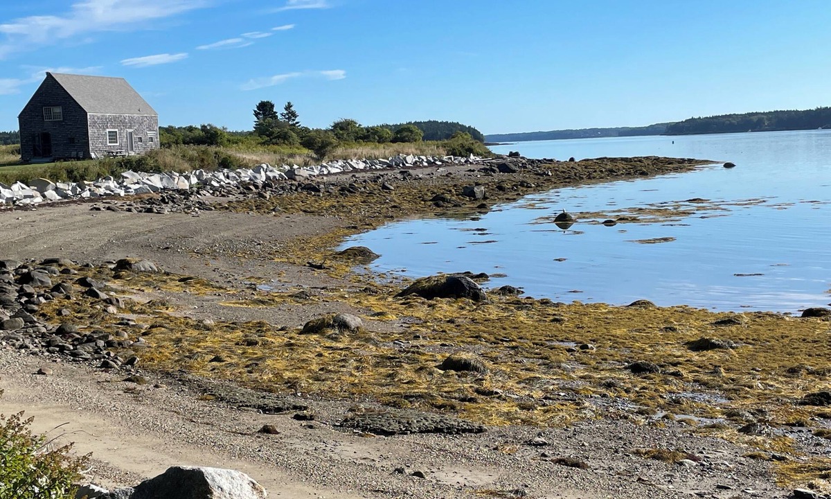Pleasant Point Cottage | Quiet waterfront Studio on Stones Point in Cushing