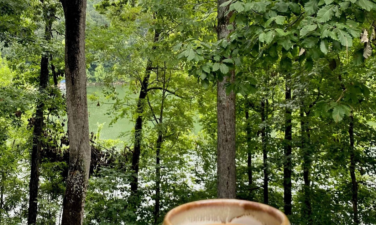 Mammoth Cave House | Raleigh Retreat: Cozy Waterfront Lake Home on Nolin Lake & Close to Mammoth Cave