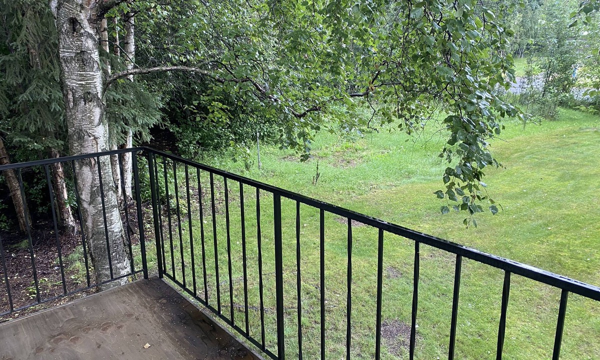 Taku - Campbell Apartment | Remodeled 1 bed apt near airport in quiet neighborhood, unit 2