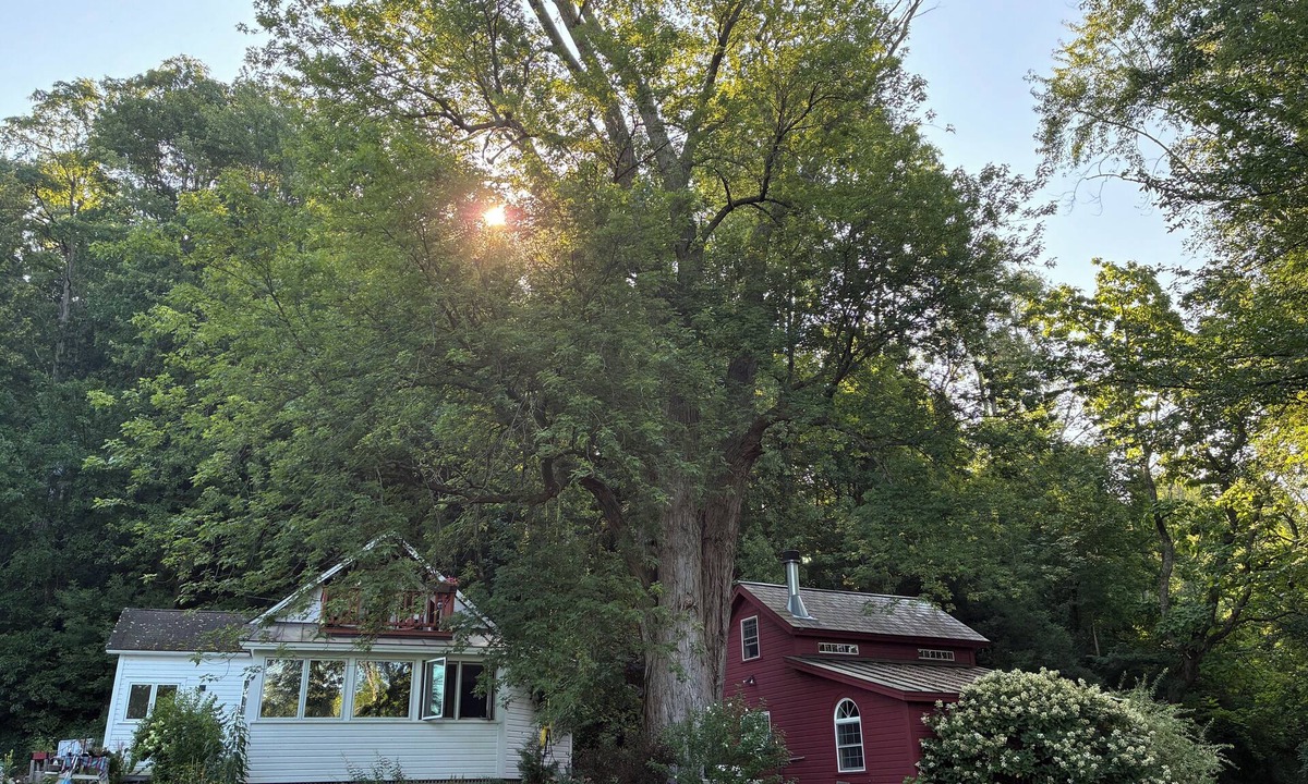 Fair Haven House | Remote romantic Vermont hideaway.Long term rentals preferred.