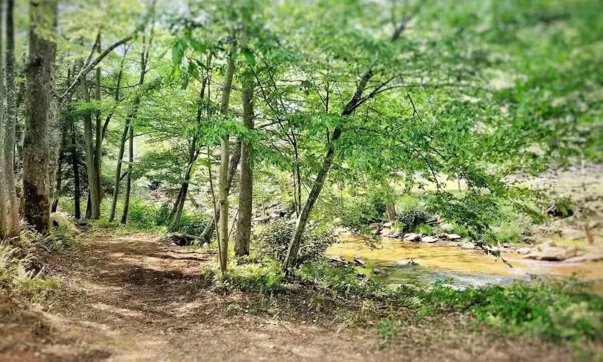 Northern Cabin | Riverside tent site - Camp Holly