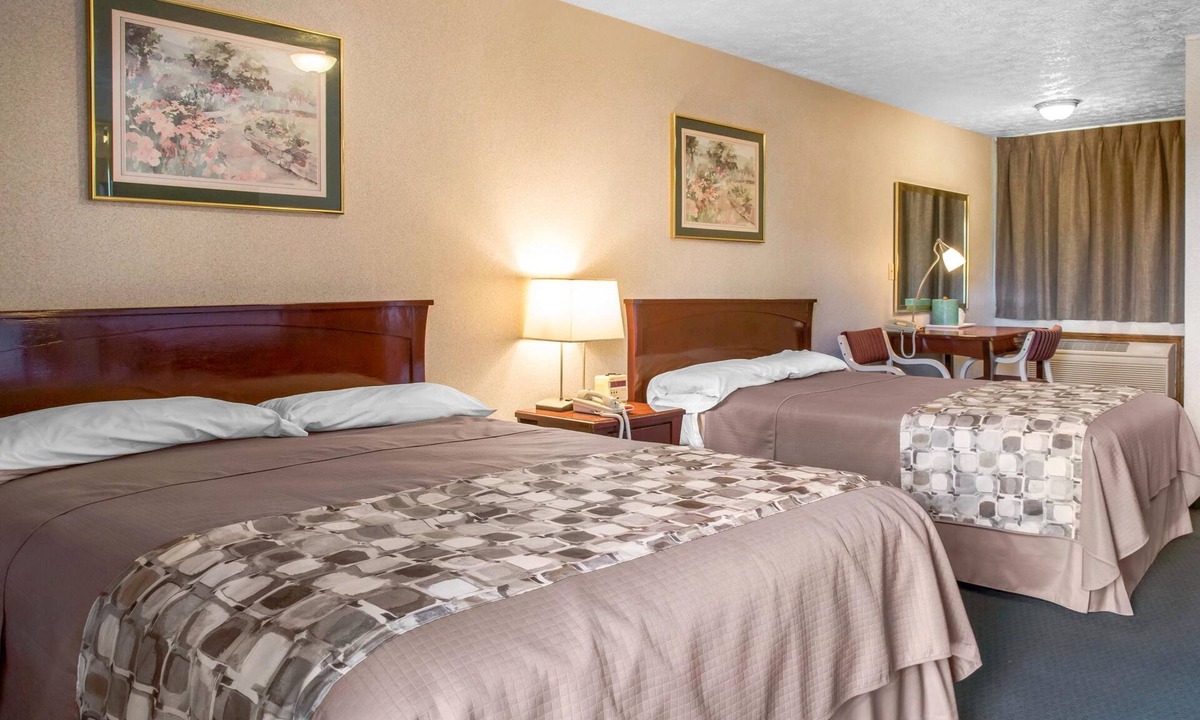 Branford Hotel | Rodeway Inn & Suites Branford - Guilford