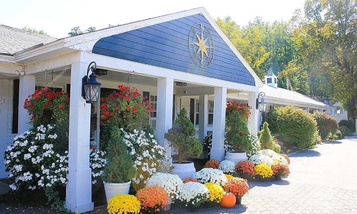 Intervale Hotel | Scenic Vista Inn