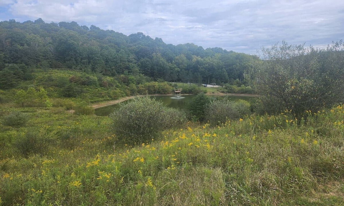 Carbon Hill Cabin | Secluded Cabin near Hocking Hills with Stocked Pond/Hot Tub on 40 acres