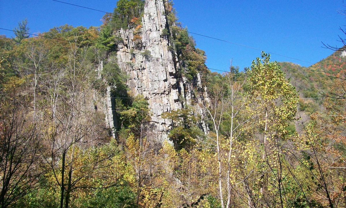 Upper Tract Cabin | Secluded Pet-friendly Cabin At Smoke Hole With 5 Person Hottub and WIFI