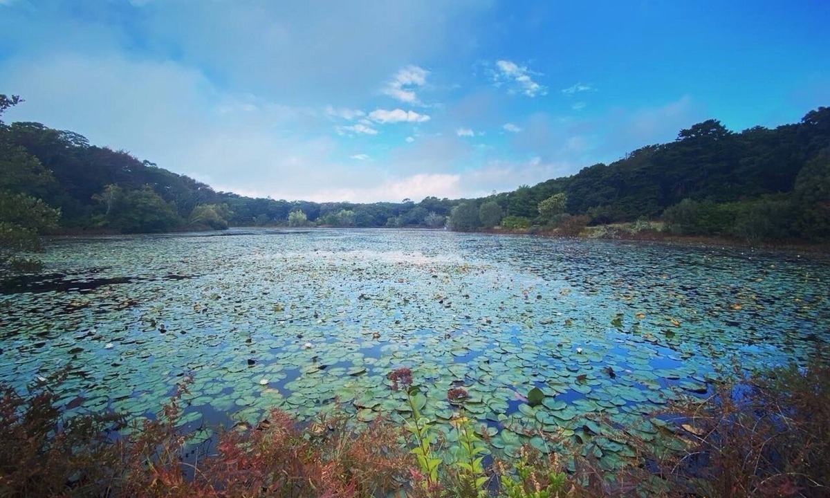 West Tisbury House | Secluded West Tisbury Retreat. Surrounded by Acres of Conservation Trails.