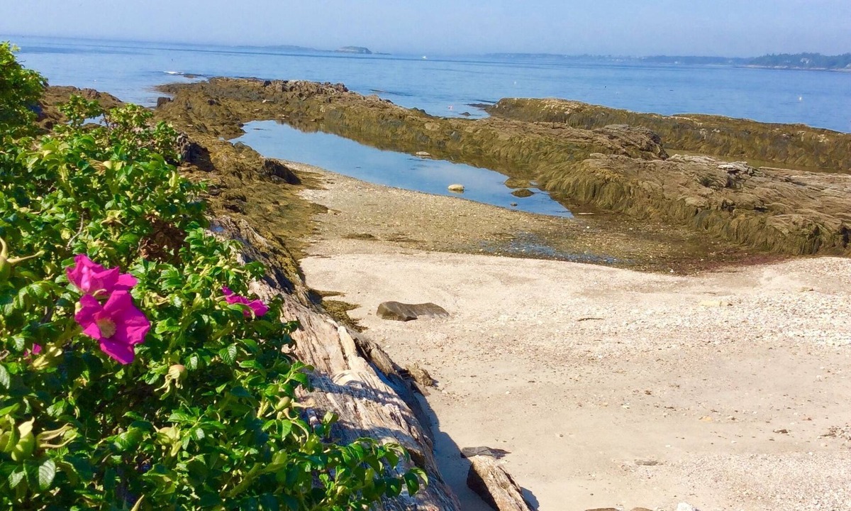Sebascodegan Island Cottage | Spectacular 270 Degree View of Bustling Ocean Front