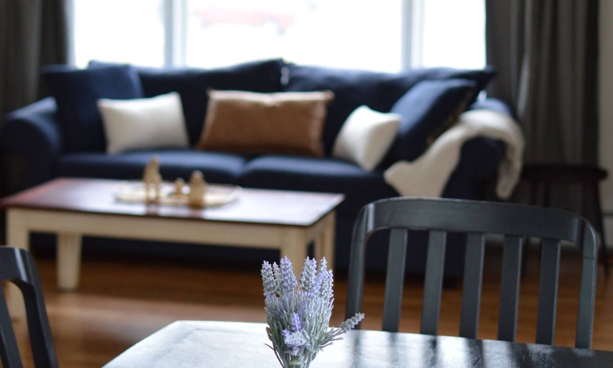 University Area House | Stay North–Rooted in Anchorage, Ready for Anything! Message for longer Stays.