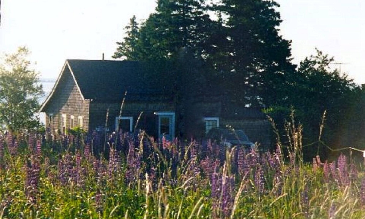Brooklin Cottage | Summer Cottage In Exquisite Coastal Maine Spot