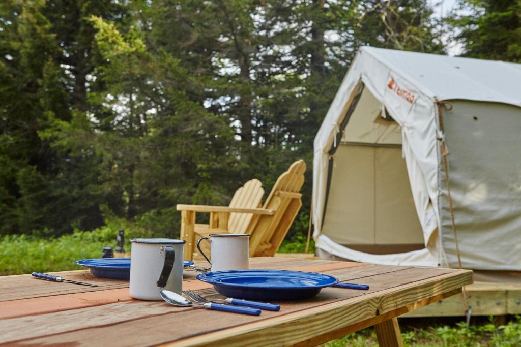 Town of Copake Other | Tentrr State Park Site - Taconic State Park High Valley Rd Site F