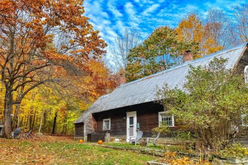 Grafton House | The Brown House