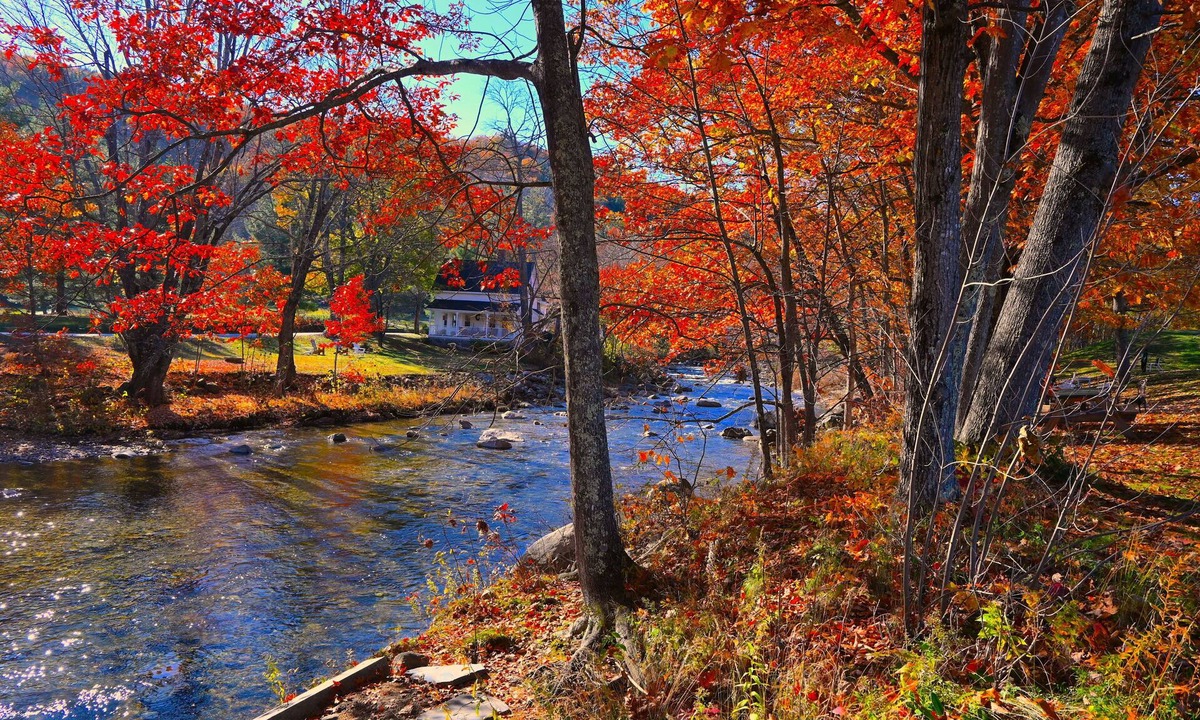 Jackson Hotel | The Lodge At Jackson Village