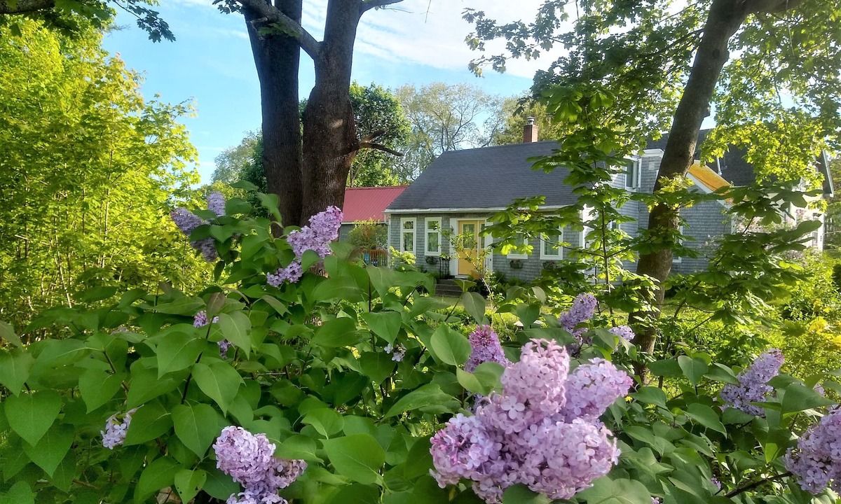Rockland Cottage | The Perch - Walk to Town & the Ocean - Rockland License STR26-45